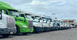 Cypress Truck Lines fleet of green and white semi trucks lined up at terminal